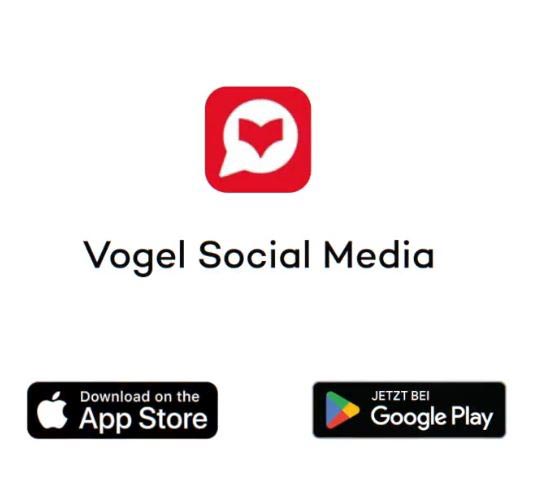 Vogel Social Media